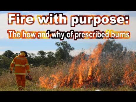 Fire with purpose:  The how and why of prescribed burns