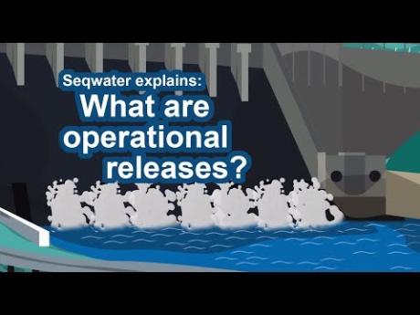 Seqwater explains: What are operational releases?
