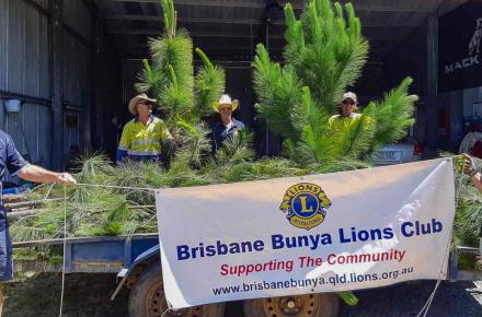 Seqwater team members deliver pine trees to the Brisbane Bunya Lions Club