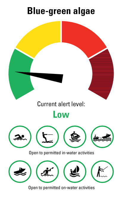 Lake Dyer Blue Green Algae level - low