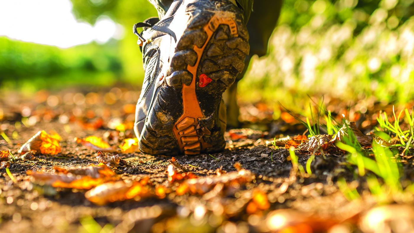 Stock photo of walking trail