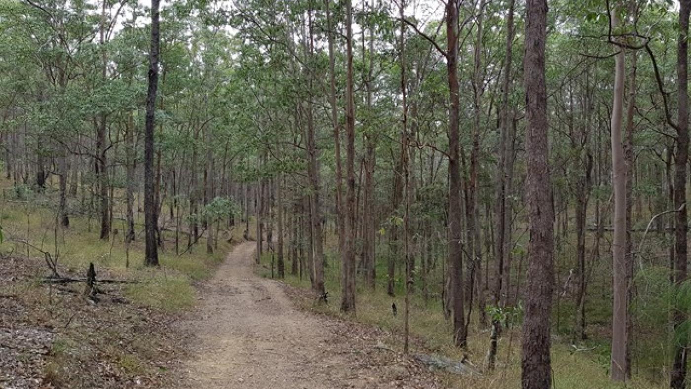 Postmans Track North Pine