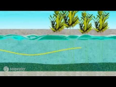 Seqwater explains: Decentralised schemes - a water source option