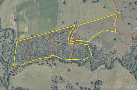 Planned burn map near Lilybrook Road, Lake Wyaralong DWY004 July 2024