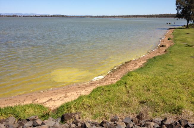 Blue green algae at Lake Atkinson